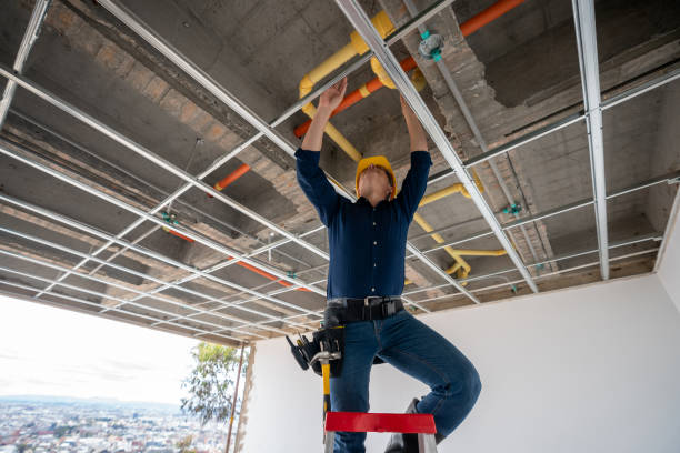 Best Local Plumber Services  in Mcdade, TX